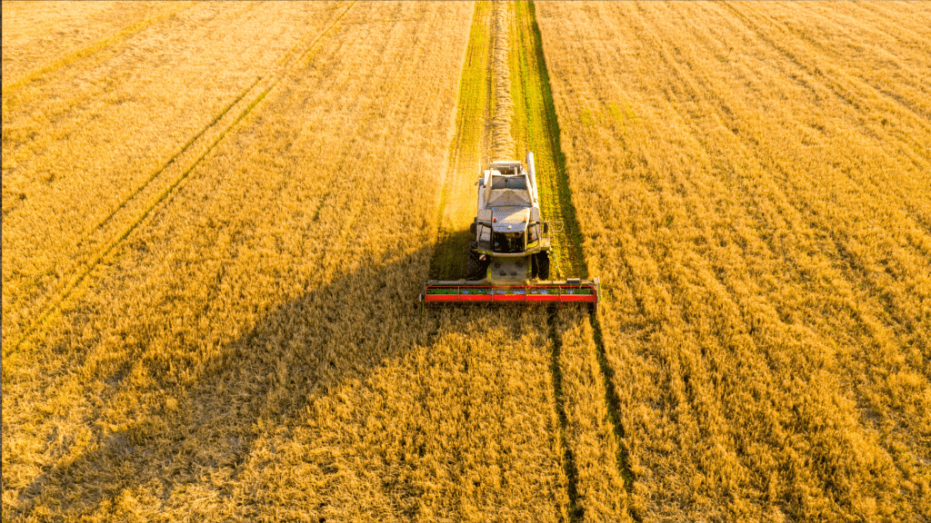 Brics Brasil debate crescimento e sustentabilidade no agro