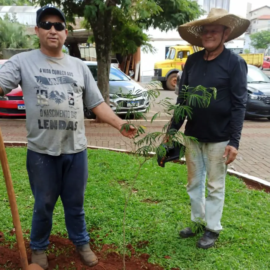 Administração promove plantio de mudas na Praça Antônio Foppa 2 sjc 9 novas mudas na Praca Antonio Foppa2 1