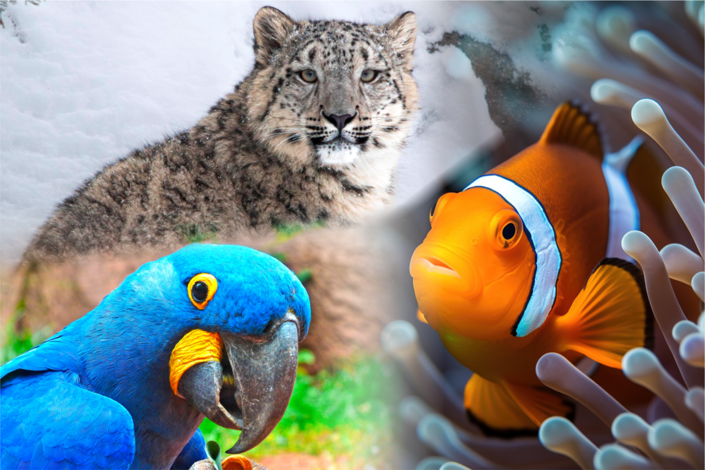 animais
