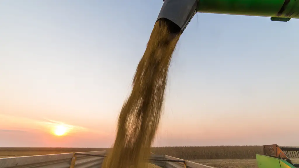 Produção de soja em Santa Catarina cresceu 93% nos últimos doze anos 2 Santa Catarina aumentou em 93% a produção do grão e 60,5% a área plantada