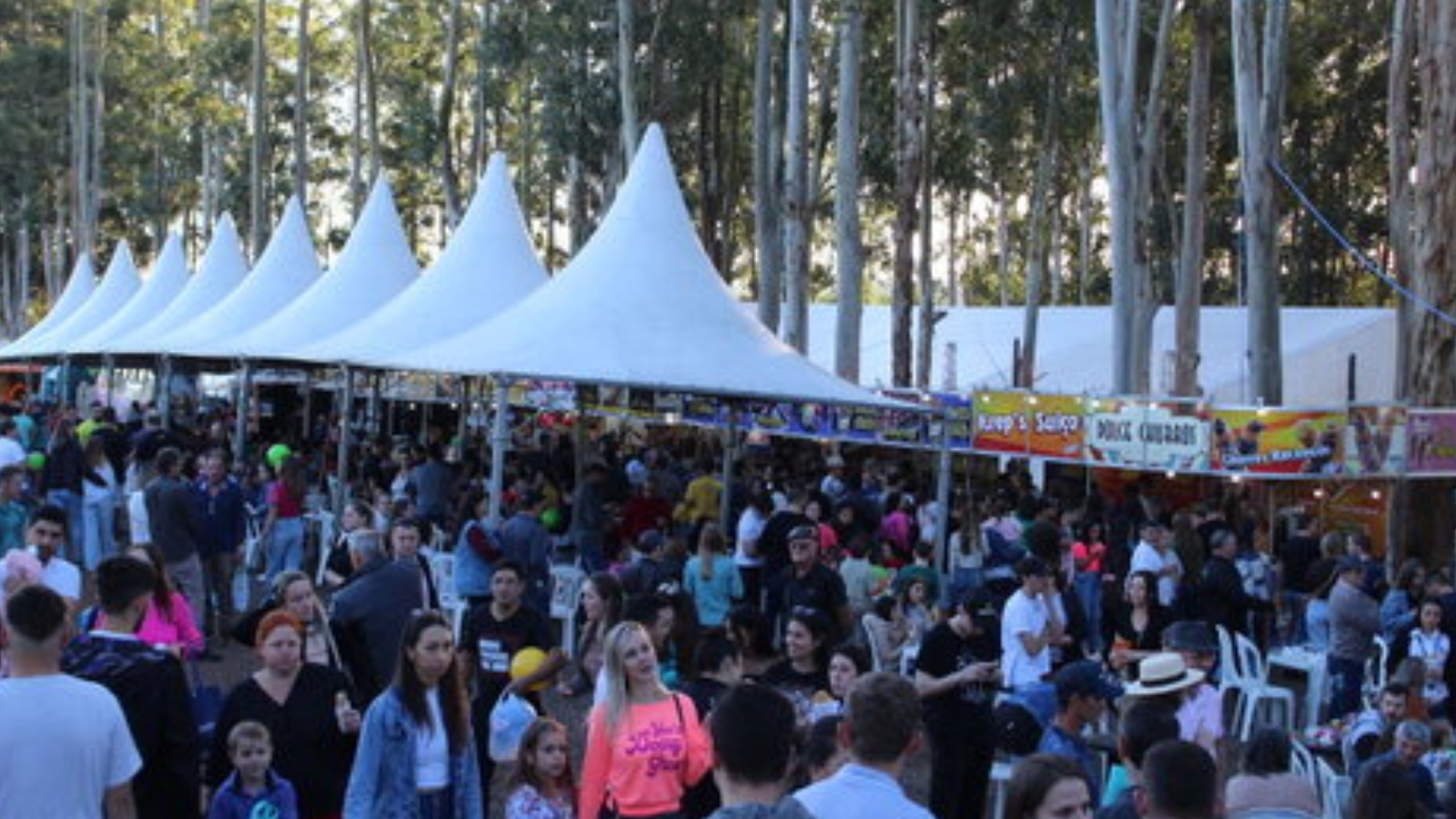 expo cedro