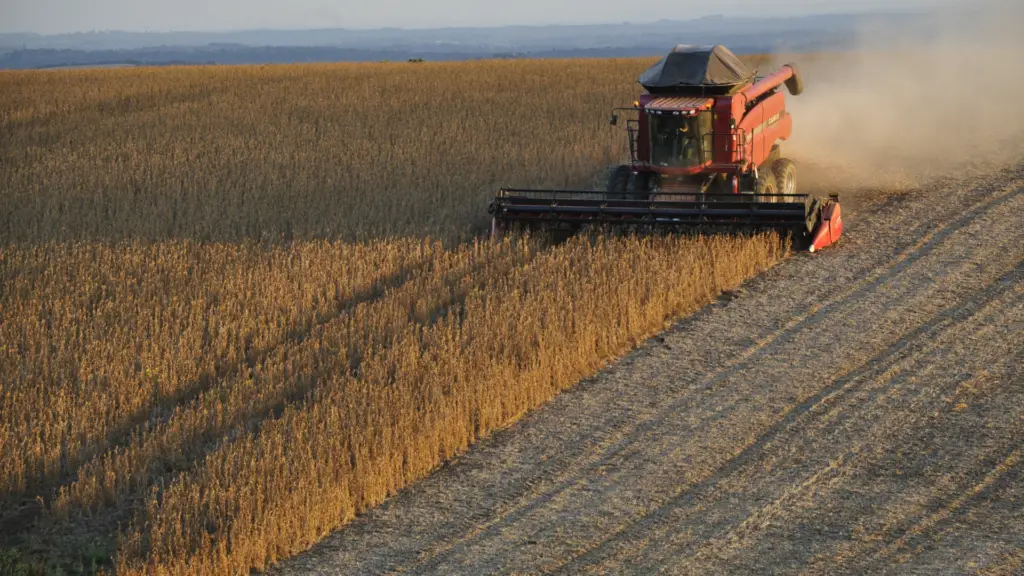 Safra 2025, milho dispara enquanto soja e inverno preocupam 2 Colheita de milho no Paraná supera 90% e bate recorde, enquanto soja e culturas de inverno enfrentam desafios