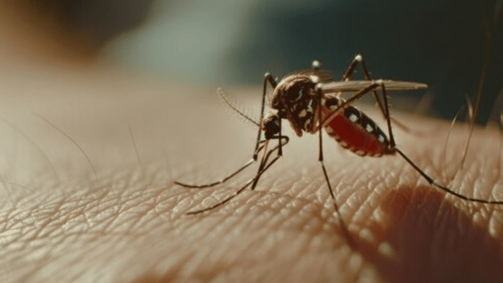 Ações de combate à Dengue são intensificadas em São José do Cedro