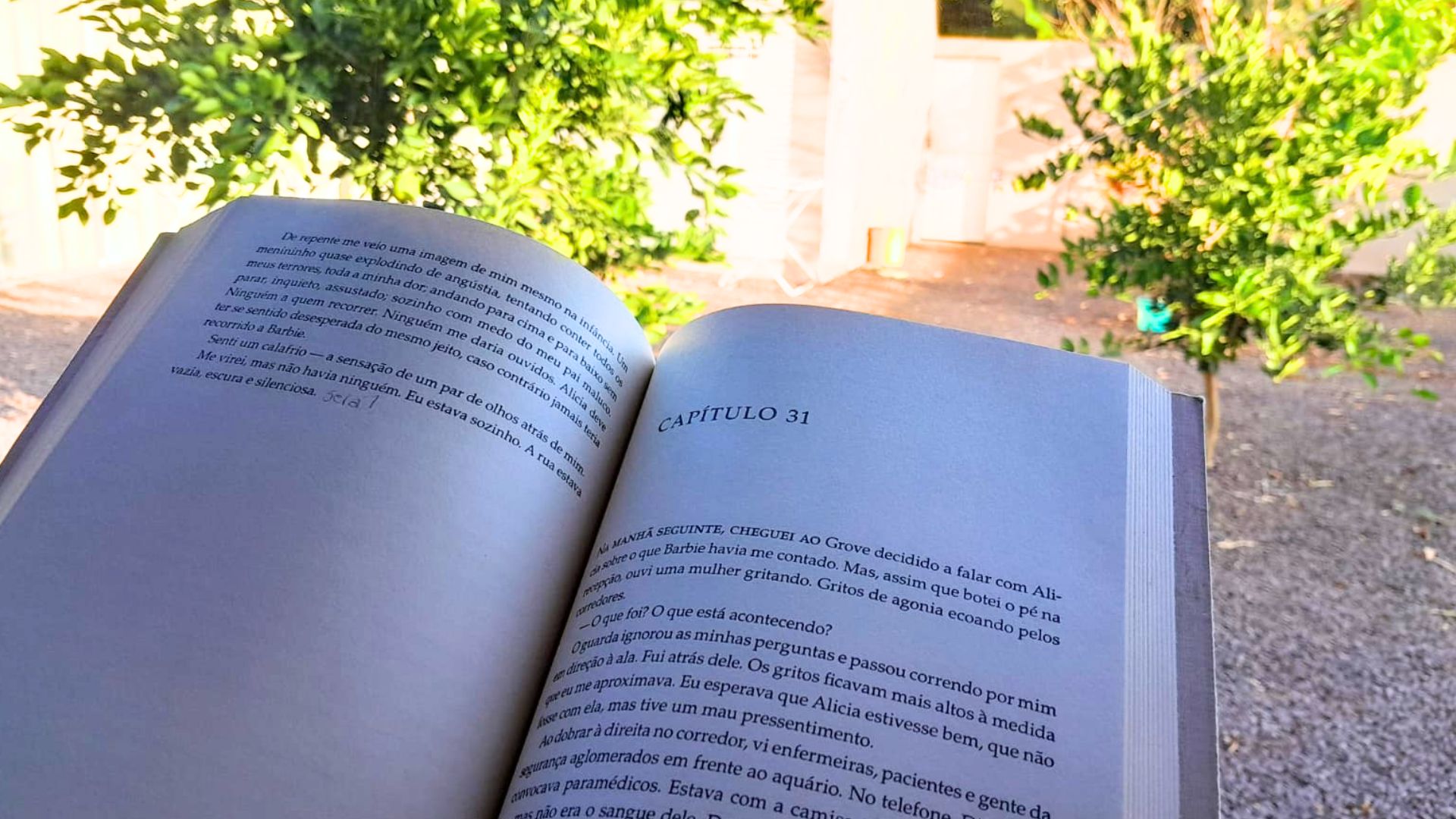 livros curtos e bons para sair do celular