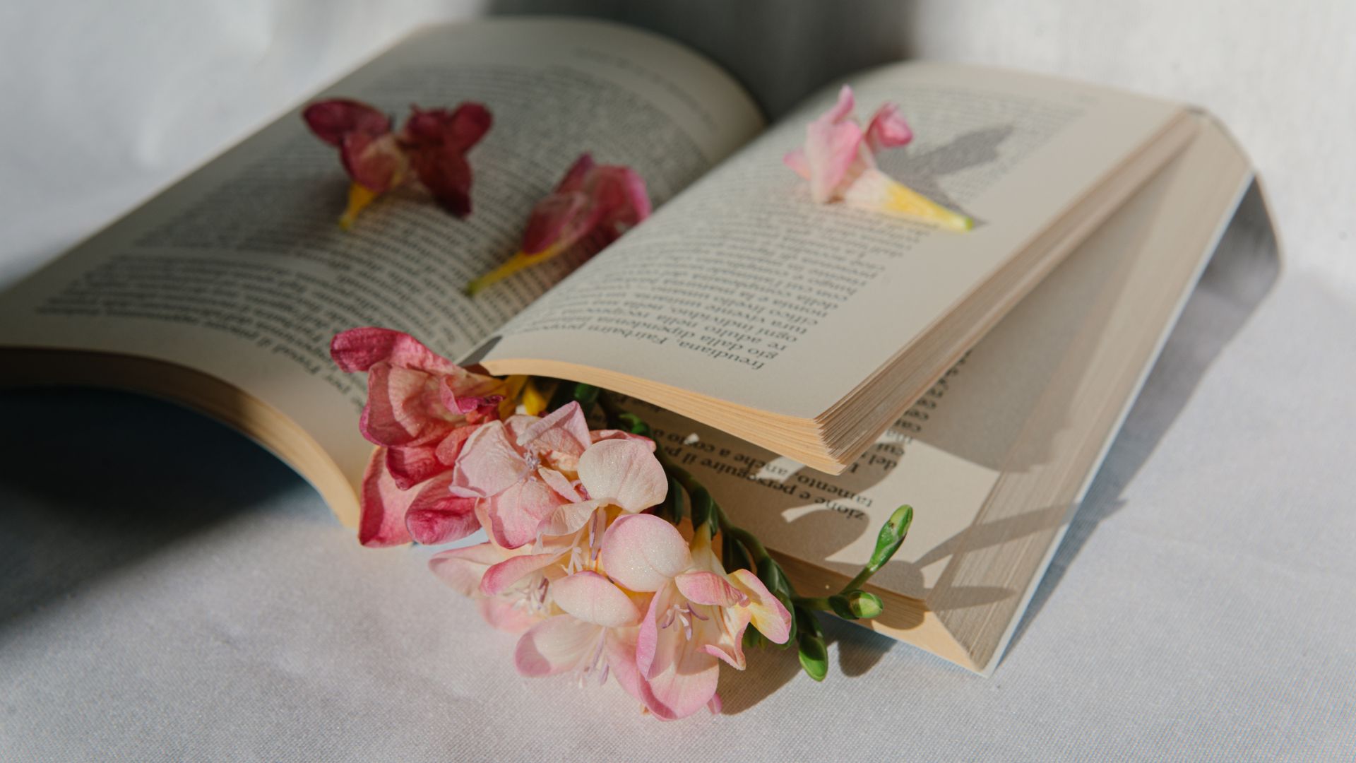 Livros para quem amou John Green