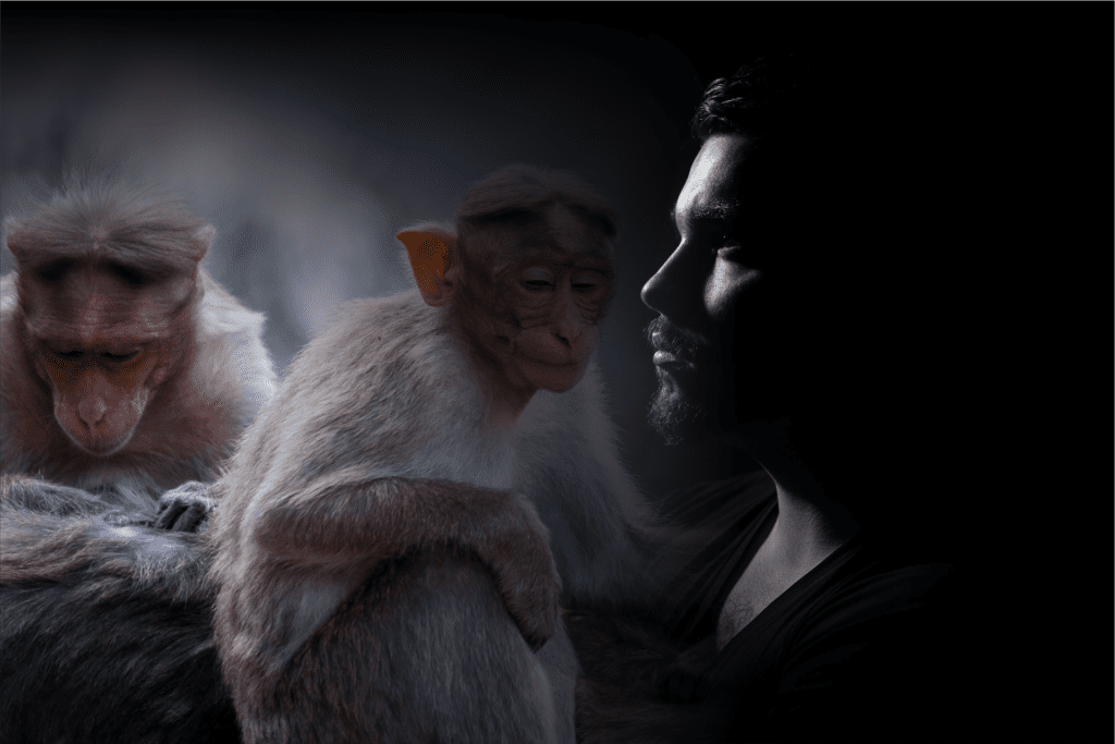 humanos