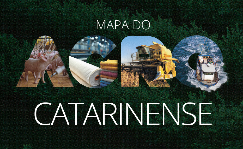 Santa Catarina exporta 70% da sua produção agropecuária e emprega mais 1 milhão de pessoas