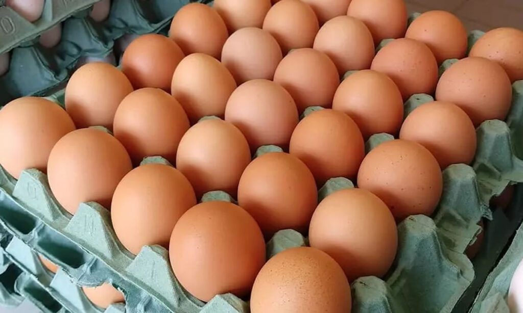 Até janeiro de 2025, importação brasileira aos EUA era permitida apenas para ração no país. Apesar de autorizar uso para industrialização, produto do Brasil não pode ser consumido in natura