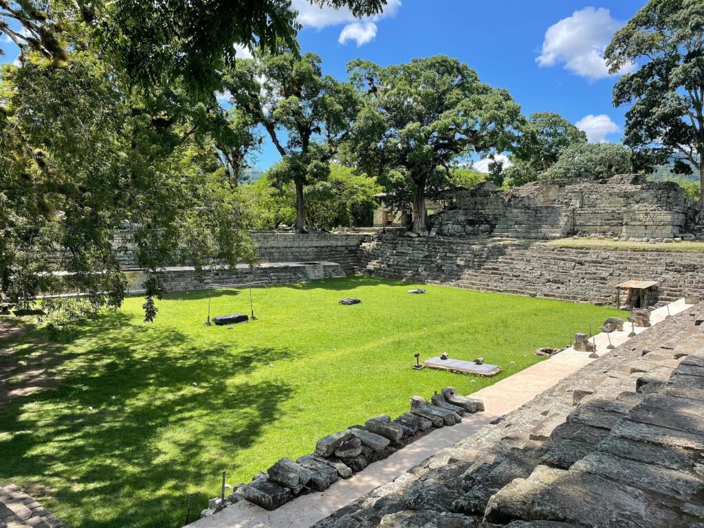 copan 8068901 1920
