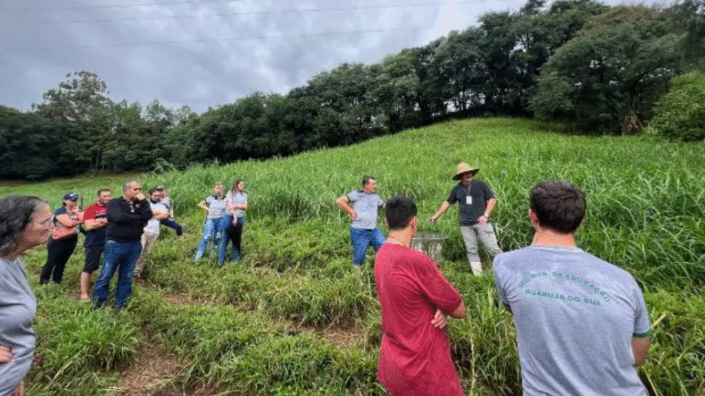 Epagri incentiva produção de leite à base do pasto em Guarujá do Sul 2 Os encontros com Epagri acontecerão mensalmente, nas propriedades dos produtores associados à Cooperflor