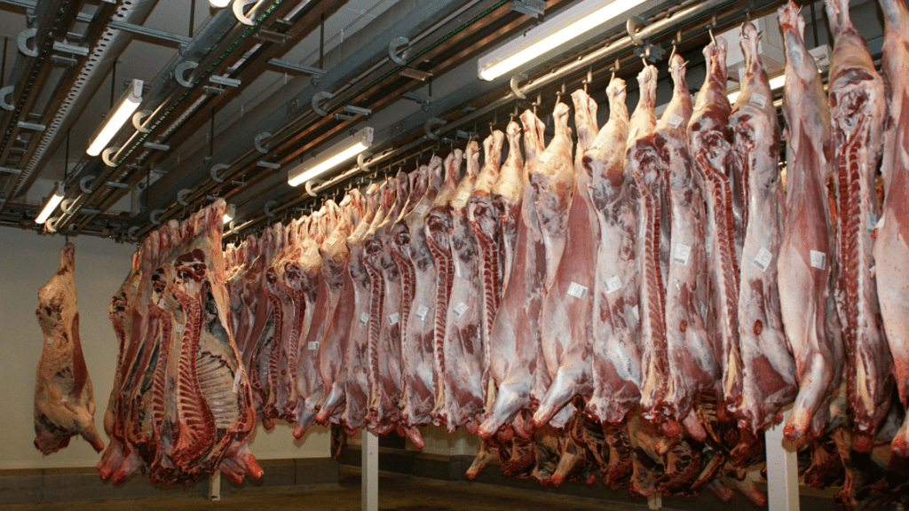 China suspende compras de carne dos EUA em meio a tensões comerciais; Brasil monitora brechas para ampliar exportações ao mercado chinês