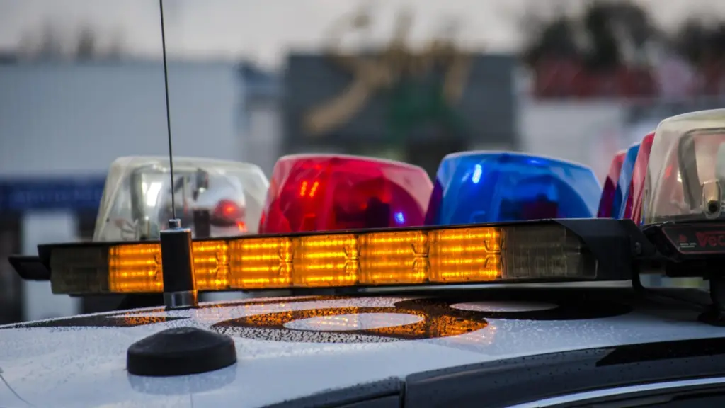 Pai perde filho de 19 anos e colega trabalho após queda de árvore 2 A tragédia ocorreu no interior de Águas de Chapecó, vítimas morreram no local, homem tenta reanima-los após a queda da árvore