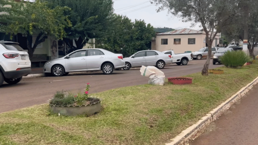 Através de parceria, detentos do semiaberto prestam serviços em Guarujá do Sul 3 Através da parceria os detentos em ressocialização realizam trabalhos projetos de embelezamento da cidade