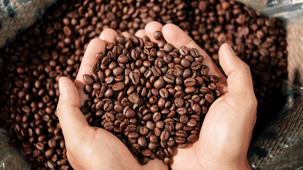 Paraná bate recorde em exportação de alimentos para 176 países em 2024 3 Estado alcança marca histórica de US$ 14,2 bilhões em exportações de alimentos e bebidas, com destaque para soja, carne de frango e café. Veja quais países compram mais do Paraná