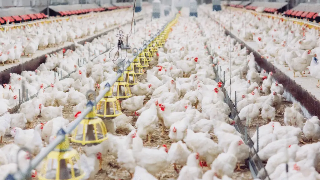 Paraná se destaca como potência global na exportação de alimentos e bebidas 3 Com exportações que ultrapassam US$ 13 bilhões, Paraná supera países como Japão, Suécia e Coreia do Sul e assume posição de destaque no comércio mundial de alimentos
