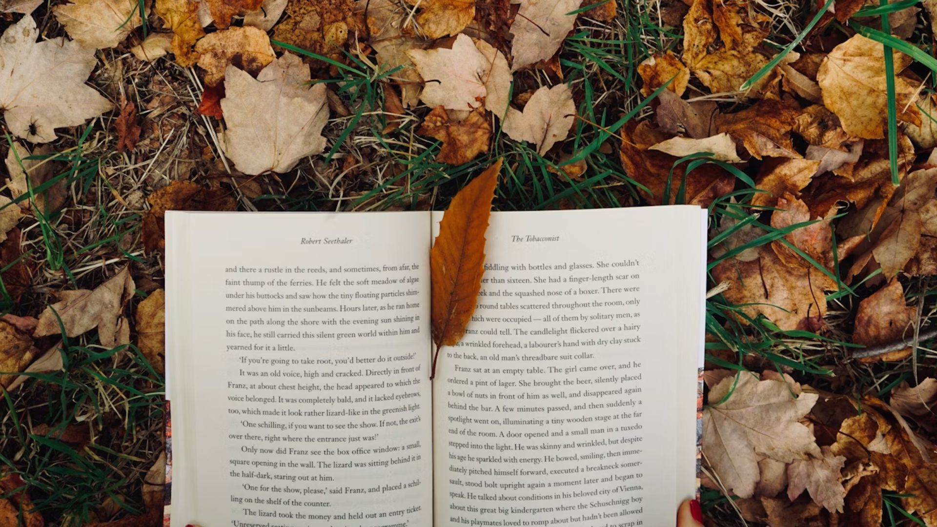 livros brasileiros que (talvez) você não conhece