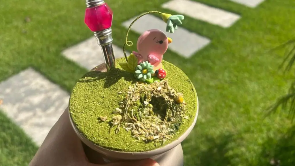 Como preparar um chimarrão perfeito
