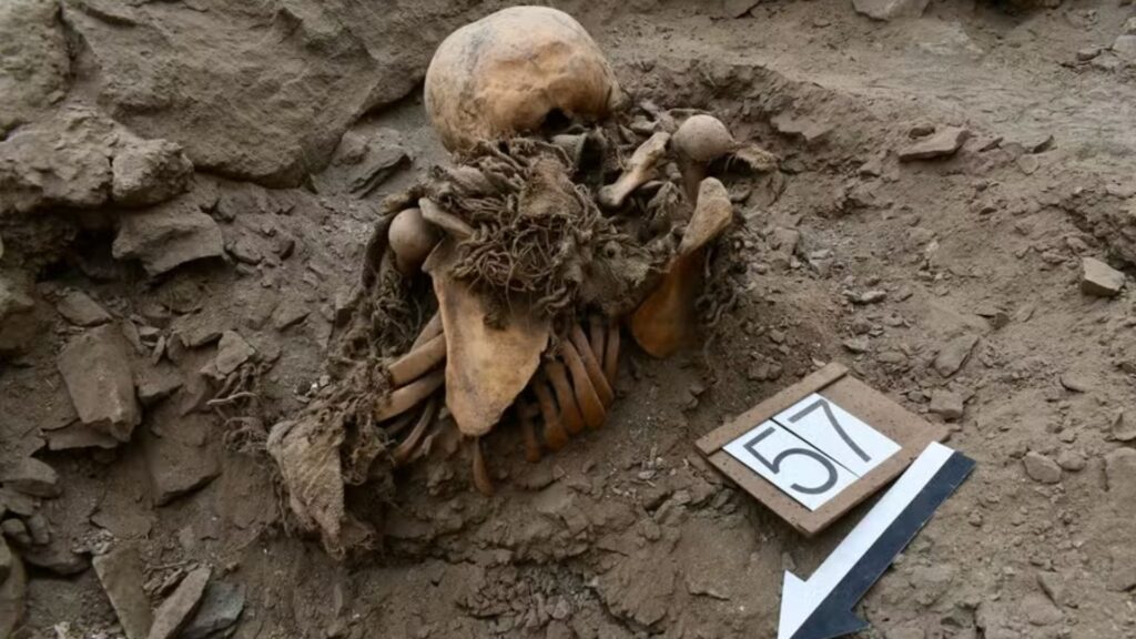 Arqueólogos descobrem tumba coletiva com 24 vítimas de massacre milenar
