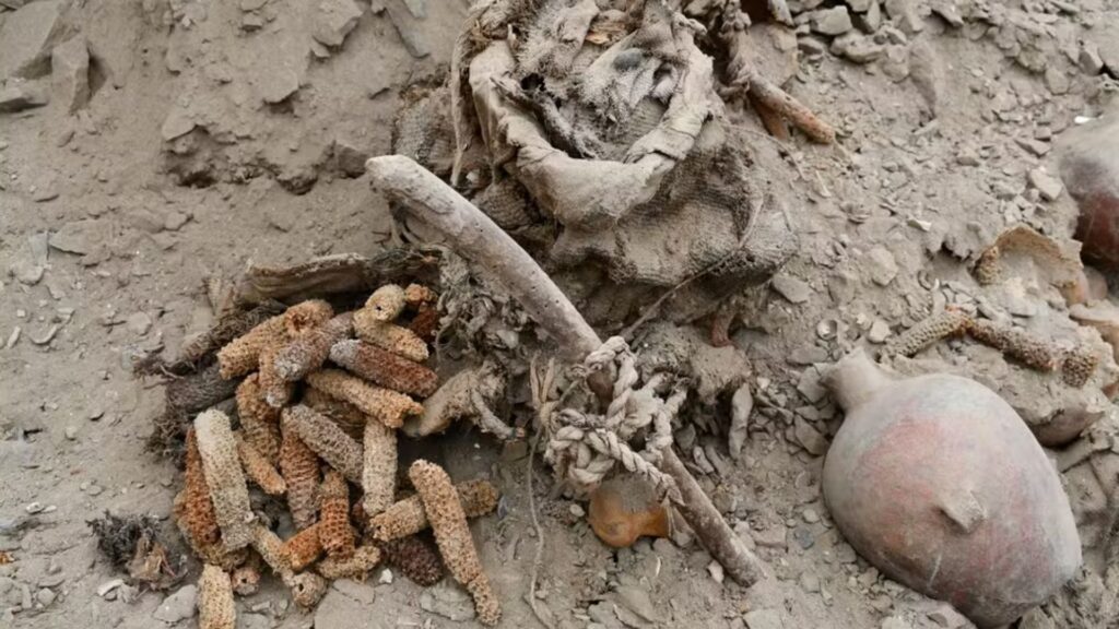 Arqueólogos descobrem tumba coletiva com 24 vítimas de massacre milenar