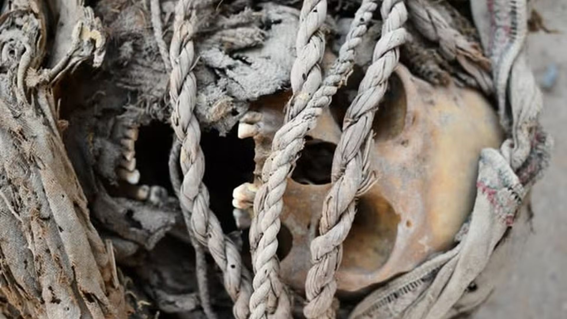 Arqueólogos descobrem tumba coletiva com 24 vítimas de massacre milenar