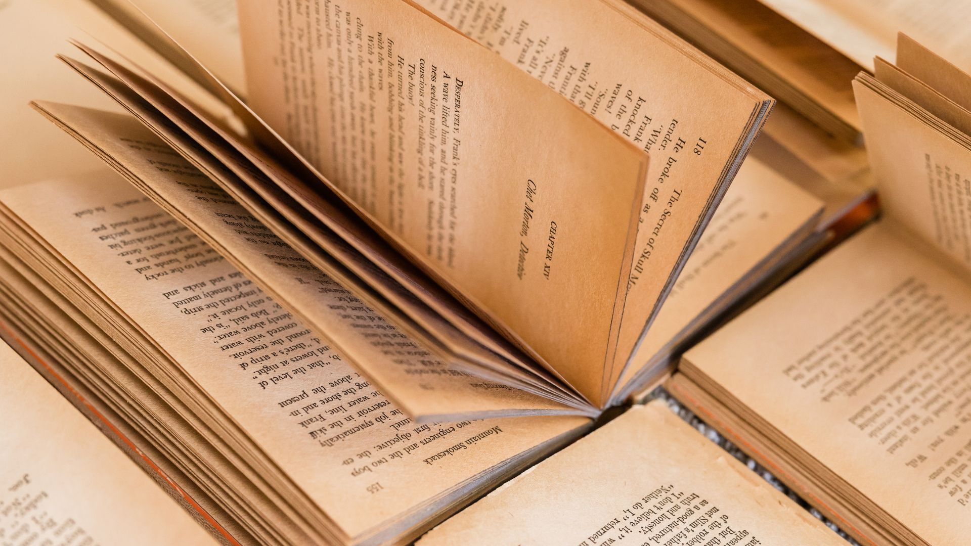livros que você precisa ler antes de morrer