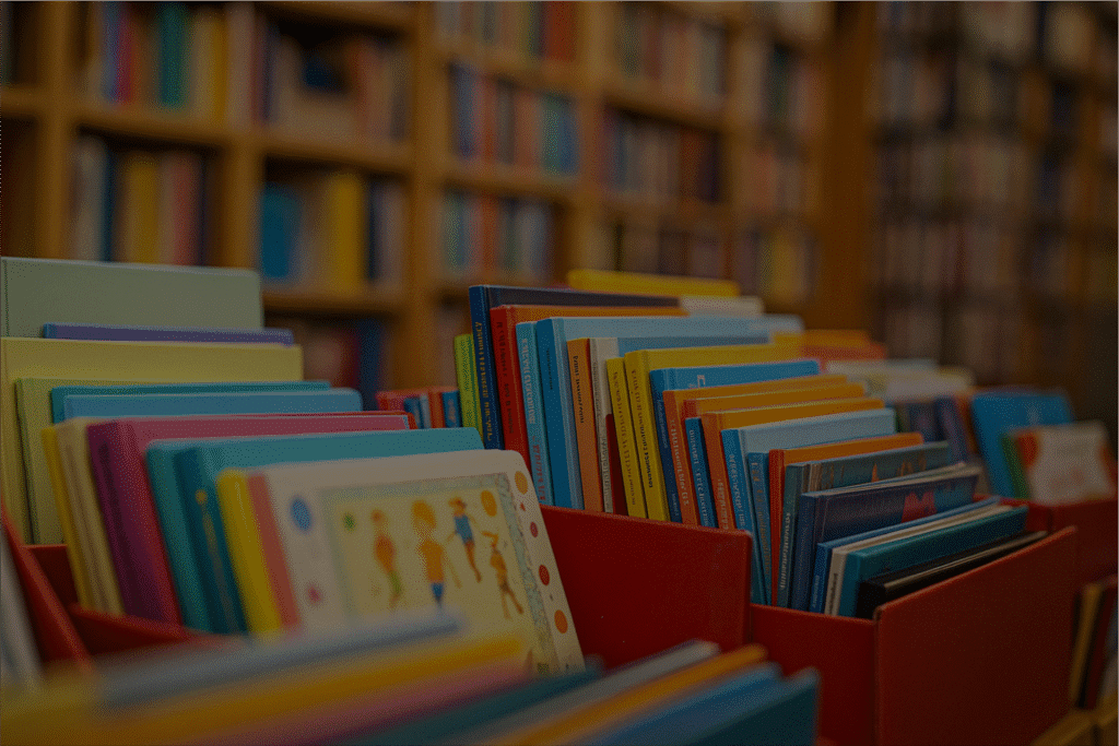 livros 11