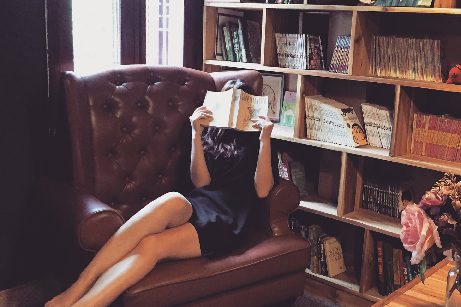 livros 3