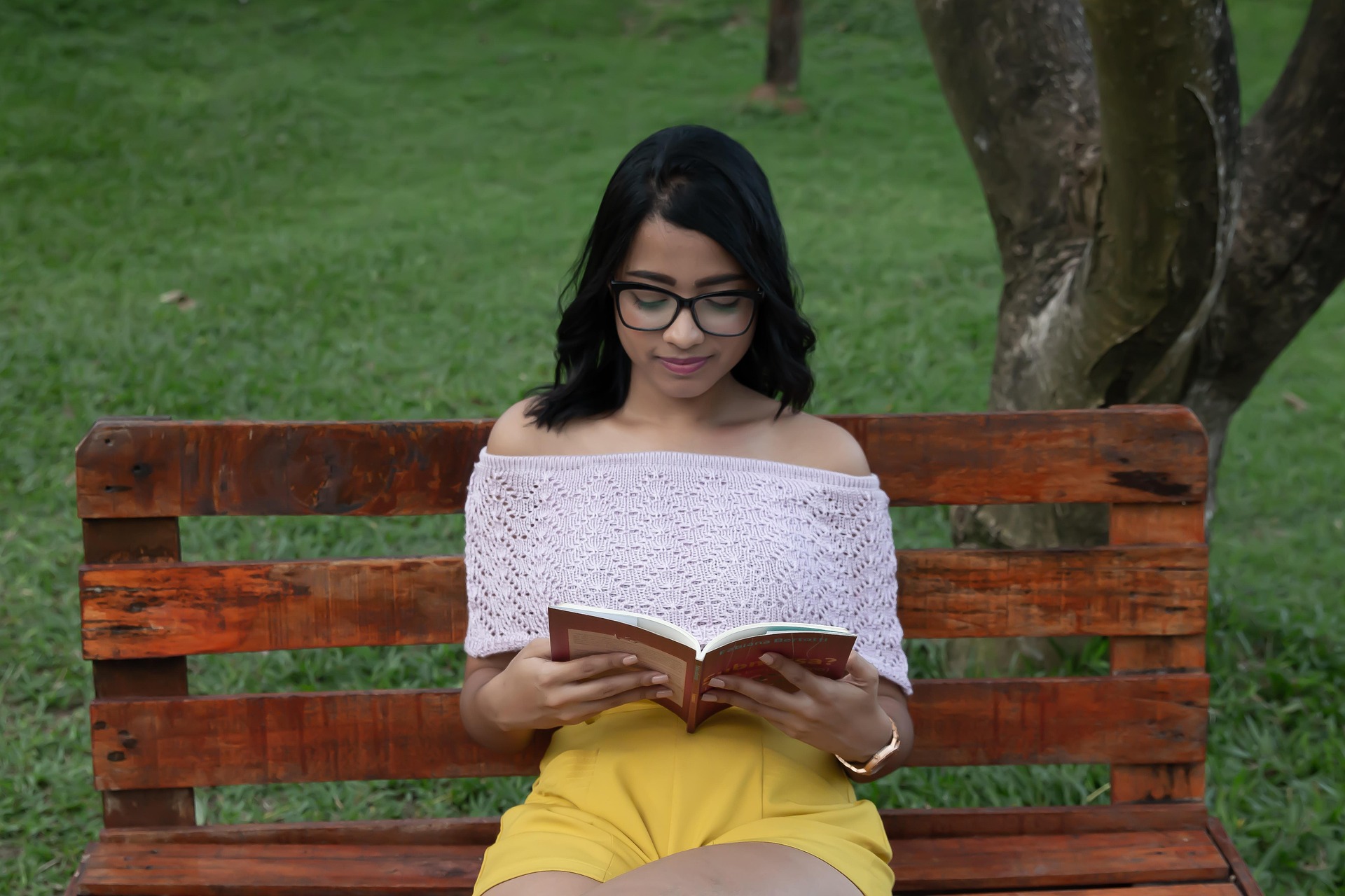 livros