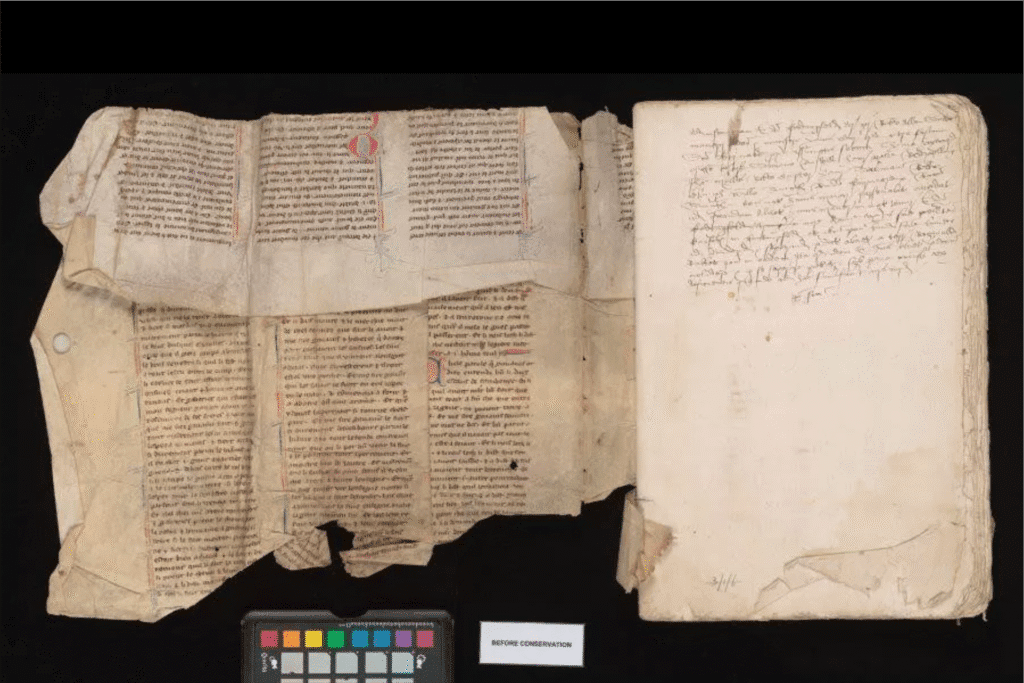 manuscrito