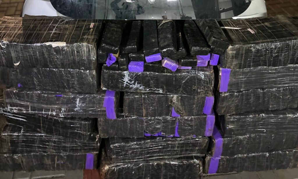 Mais de 300 kg de maconha são apreendidos durante ação policial em Campo Erê 3 Operação conjunta interceptou três veículos e resultou na apreensão de 308 quilos de maconha na SC-160