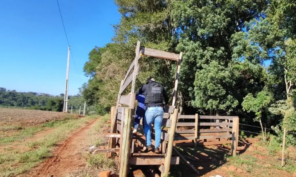 Agrotóxico contrabandeado é apreendido em operação em São José do Cedro 3 Segundo a polícia o agrotóxico apreendido seria contrabandeado da Argentina e foi apreendido em uma propriedade rural na Linha Padre Réus