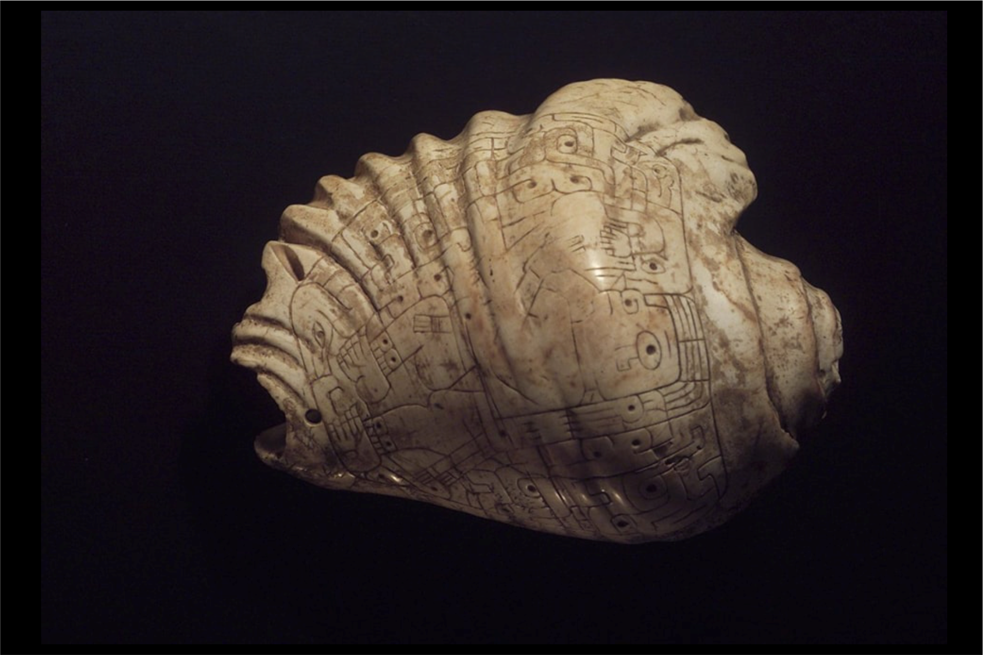 trombeta