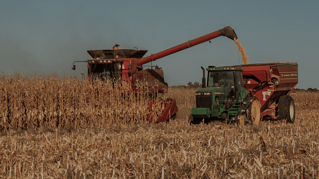 Produção agrícola no Paraná deve bater recordes na próxima safra