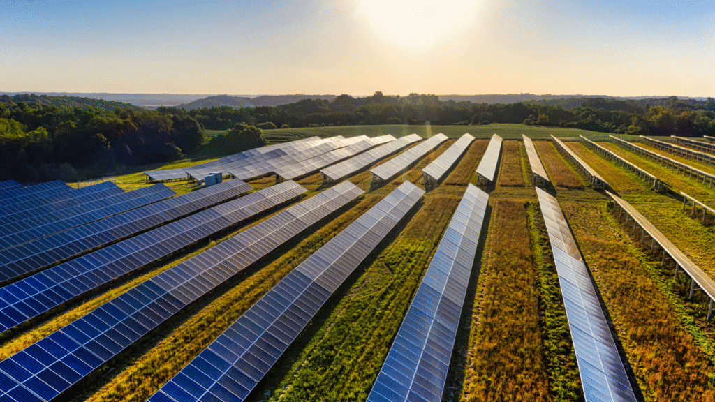 Programa Energia Boa impulsiona geração de energia renovável em Santa Catarina 3 crys 3 9