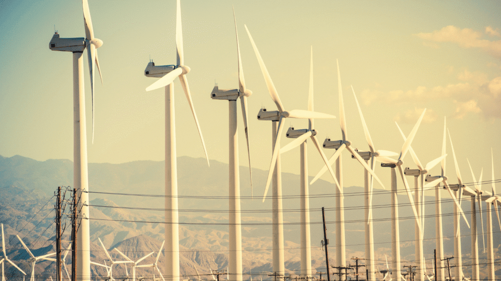 Programa Energia Boa impulsiona geração de energia renovável em Santa Catarina 2 Santa Catarina amplia geração de energia renovável com Programa Energia Boa, que deve atrair até R$ 13 bilhões em investimentos privados
