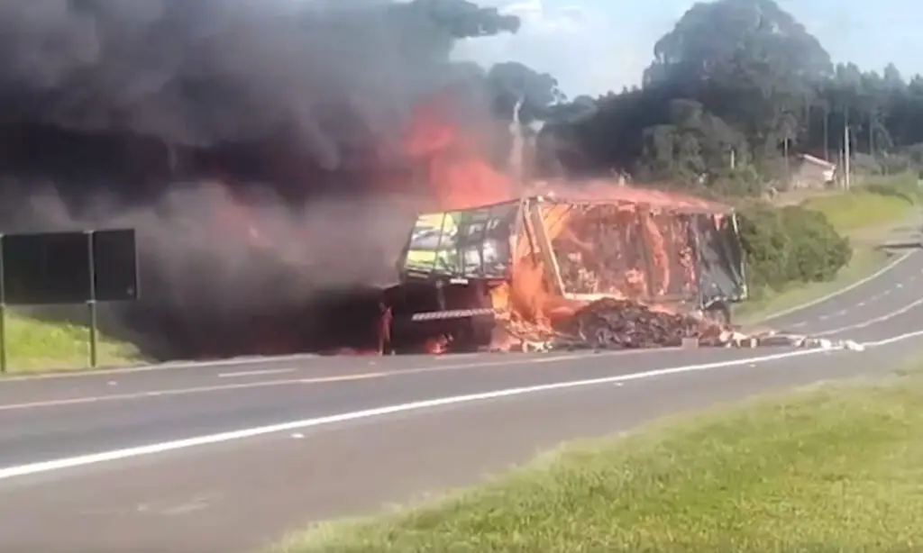 Tio e sobrinho morrem após baterem de frente e caminhões pegarem fogo na BR 373, no PR 3 Uma mulher também morreu, outro sobrinho conseguiu sair a tempo e foi socorrido. Tio e sobrinho seguiam pela mesma rodovia mas em sentidos contrários