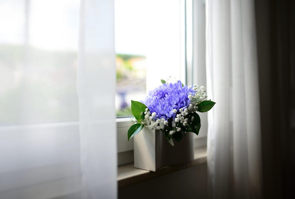 flores 1