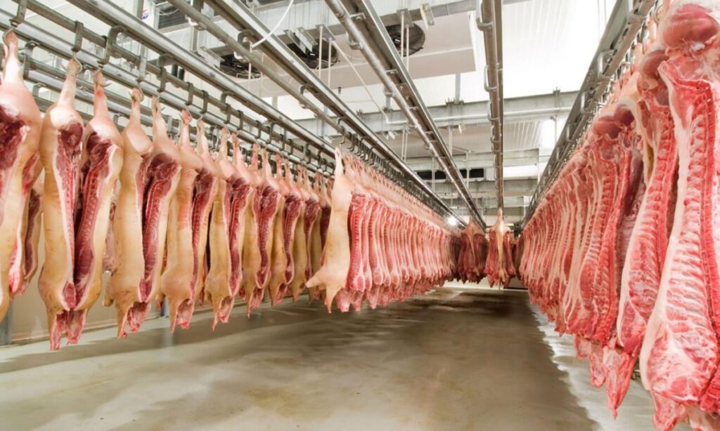 Santa Catarina tem o melhor resultado nas exportações de carnes em 28 anos 3 De janeiro a abril, Santa Catarina exportou 677,6 mil toneladas de carnes, gerando uma receita de US$ 1,47 bilhão