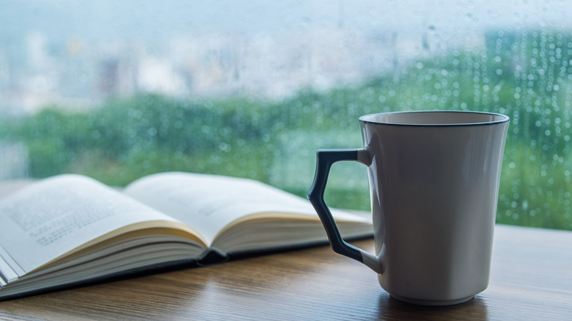 livros de suspense com reviravoltas geniais para sair da ressaca literária
