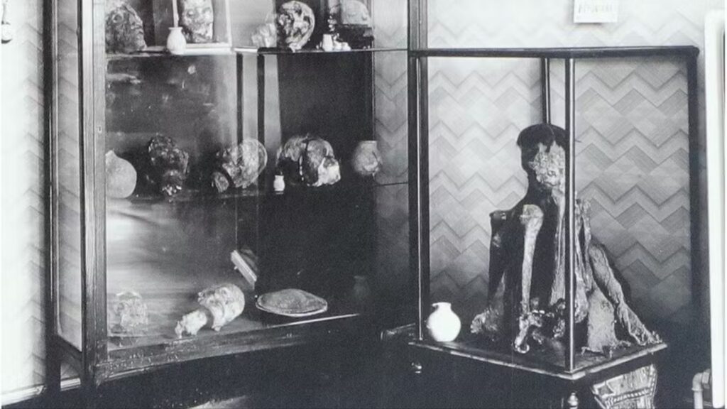 Múmia andina revela tatuagens secretas no rosto após 800 anos 2 Múmia andina revela tatuagens secretas no rosto após 800 anos