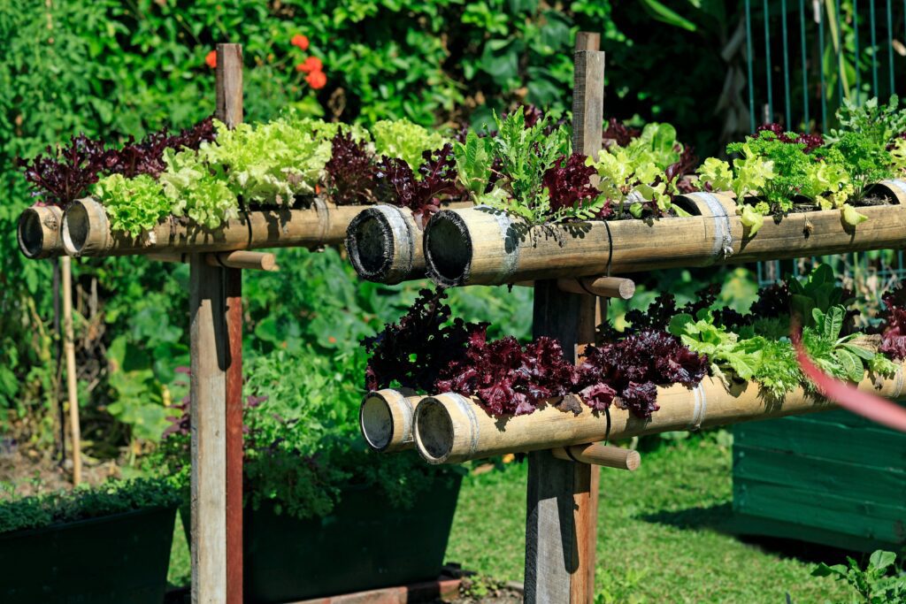 horta vertical