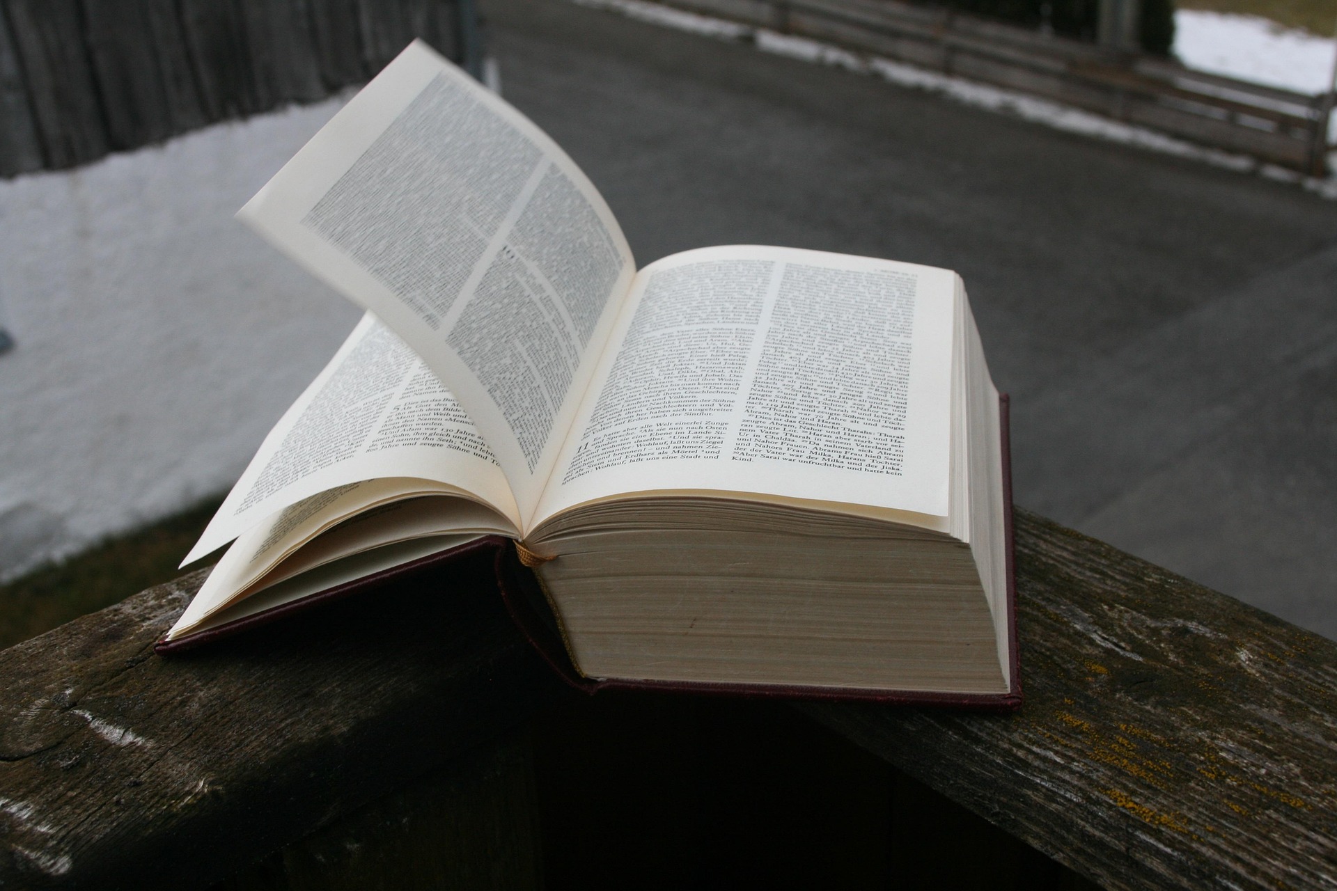 livros 2