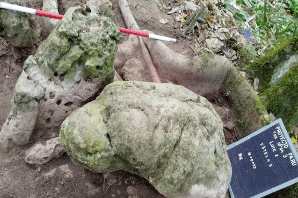 Arqueólogos descobrem as ruínas de uma extraordinária cidade maia de 3 mil anos nas selvas da Guatemala; veja fotos 2 cidade 1