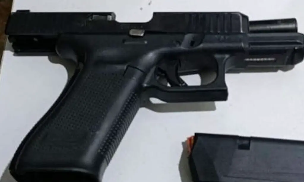 Criança de 2 anos pega arma do pai e mata a mãe com tiro acidental 2 A criança de apenas 2 anos pegou a arma do pai e disparou acidentalmente, atingindo a própria mãe