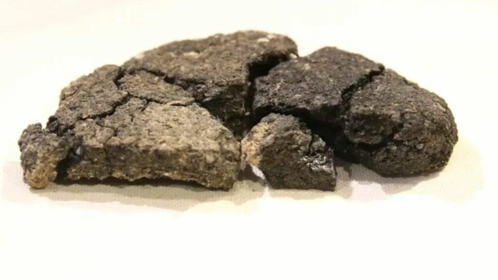 Pão de 5.000 anos revela segredos da panificação na Idade do Bronze