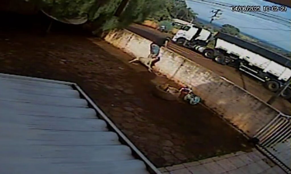 Traficante em fuga entra em terreno é atacado por cão e acaba preso 3 O homem que seria traficante tentou fugir após uma abordagem da Polícia Rodoviária Federal