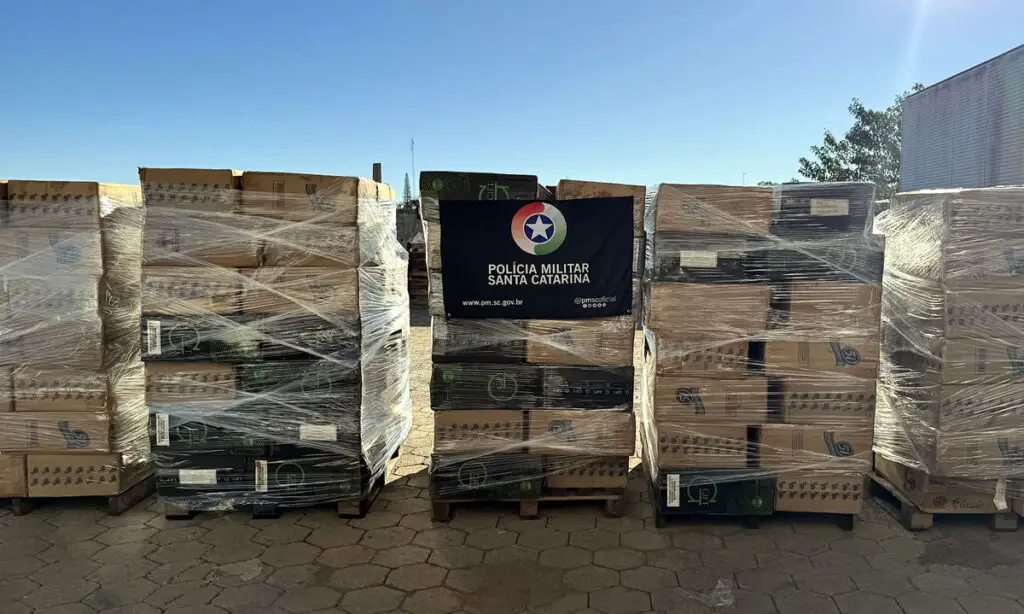 Dois presos e 96 mil maços de cigarros contrabandeados apreendidos em Dionísio Cerqueira 3 Ocorrência foi registrada na manhã de quarta-feira. Durante a ação, dois homens foram presos, sendo um deles o proprietário do galpão utilizado como depósito