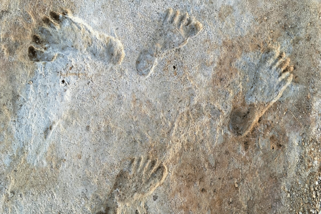 pegadas