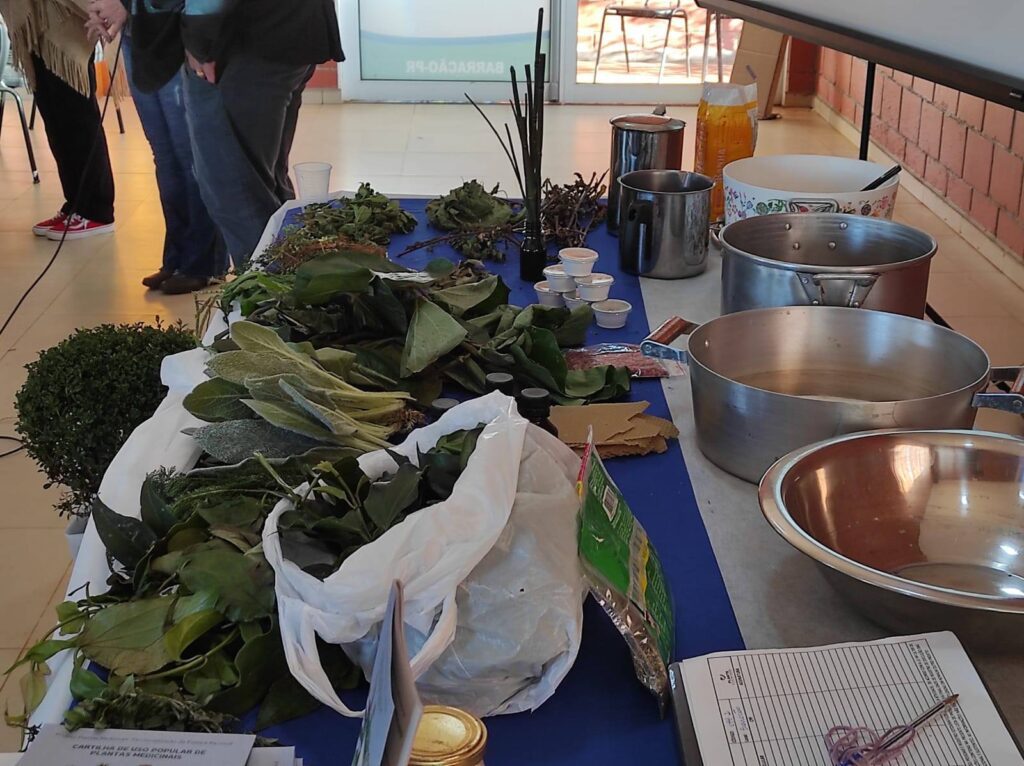 Realizada 3ª etapa de capacitação sobre plantas medicinais em Barracão 2 plantas medicinais