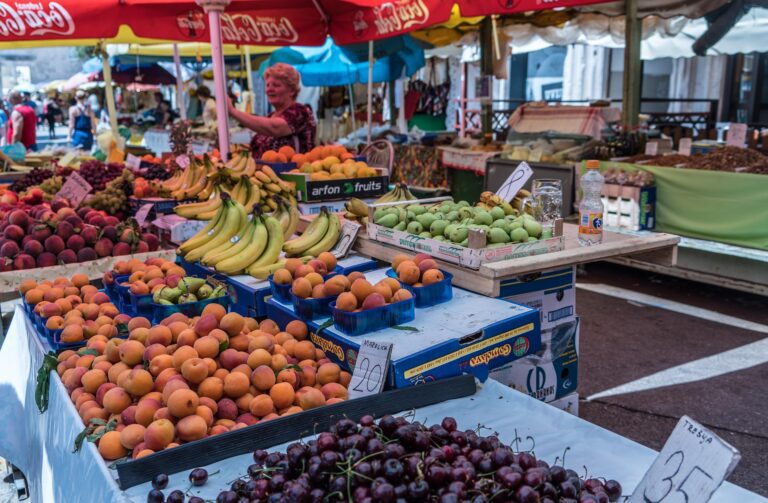 Como a alimentação e a atividade física se completam: Guia para uma vida saudável